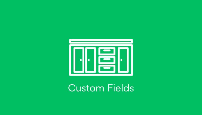 WordPress custom fields